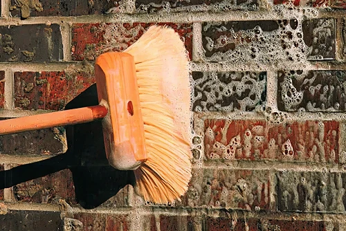 Efflorescence Removal